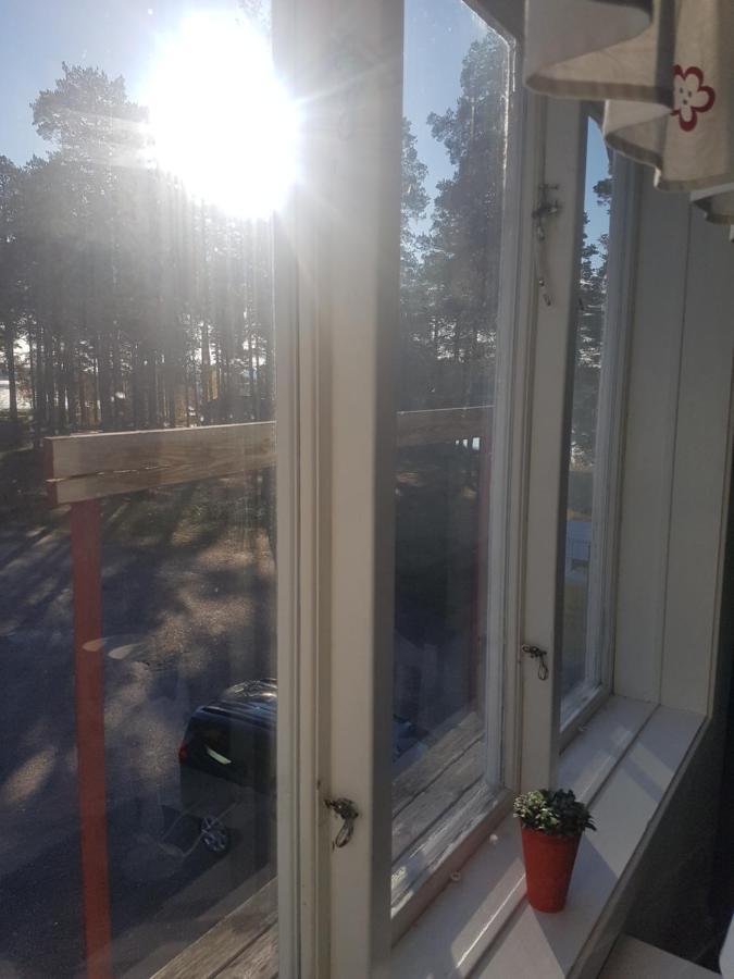 Furudals Vandrarhem Och Sjoecamping المظهر الخارجي الصورة