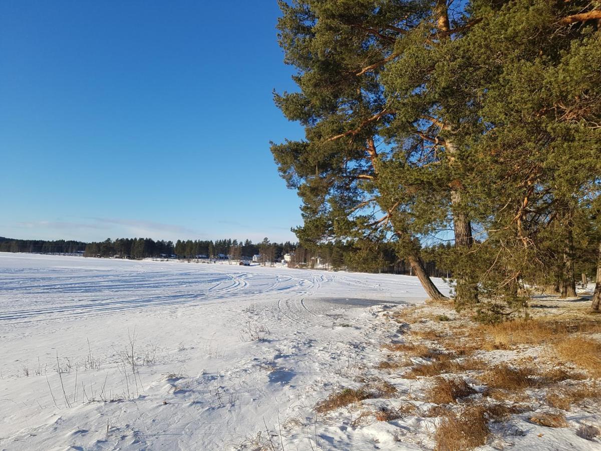 Furudals Vandrarhem Och Sjoecamping المظهر الخارجي الصورة